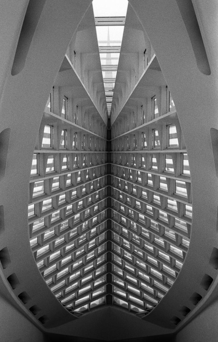 A symmetrical architectural interior features a grid of windows and a curved ceiling.