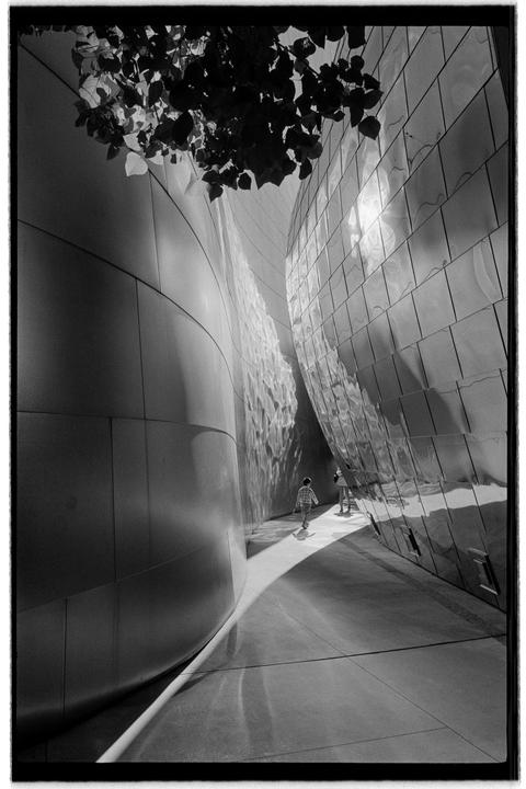 A child walks along a narrow path between two curved, modern buildings with reflective surfaces, while a tree branch hangs overhead.