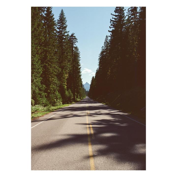 A long road stretches into the distance, flanked by tall pine trees and leading towards a mountain peak under a clear sky.