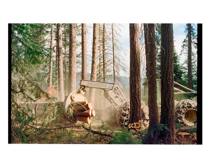 A logging vehicle with large chained tires and a claw attachment is moving logs in a forest with tall trees.