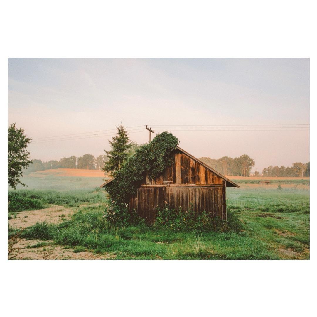 A wooden cabin with a vine growing on its roof stands in a grassy field under a hazy sky.