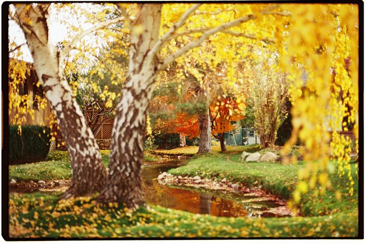 A small stream flows through a grassy area with trees displaying autumn foliage.