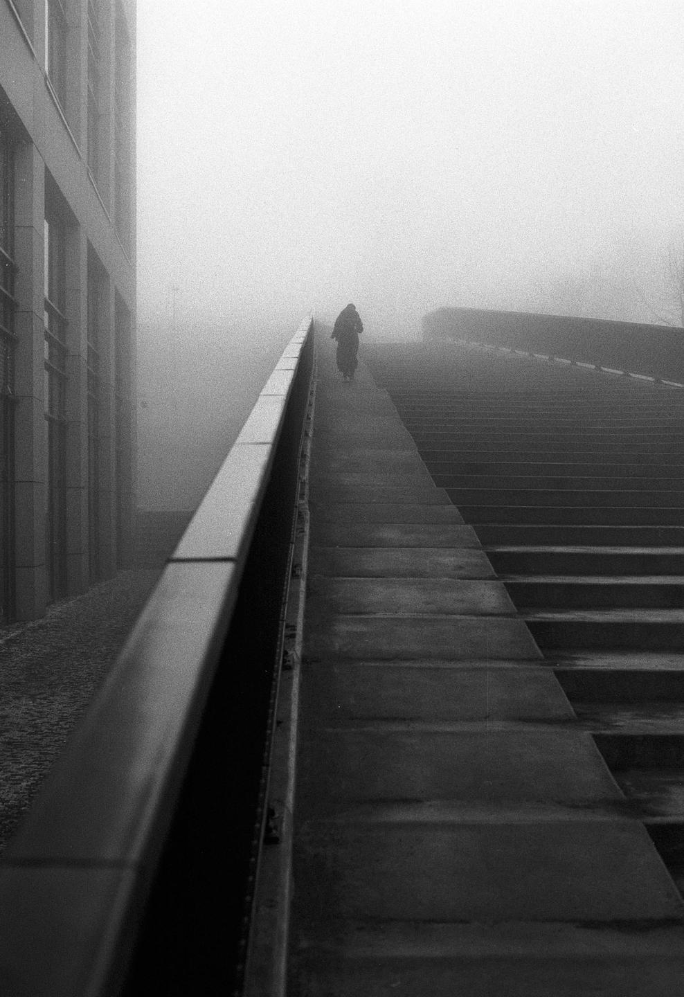 A person walks up a long, wide staircase next to a building in thick fog.