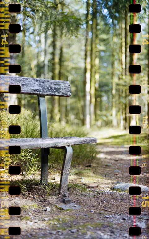 A weathered wooden bench sits beside a dirt path in a sun-dappled forest.