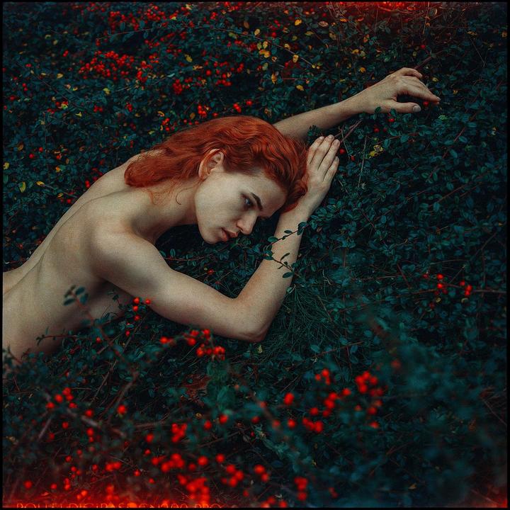 A person with red hair lies topless in a bush with red berries.