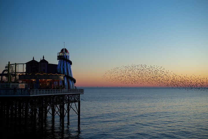 A murmuration of birds flies over the sea next to a pier with a carousel and a helter skelter at sunset.