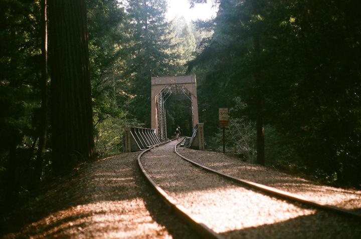 A person rides a bicycle across a railway bridge through a forest with sunlight shining through the trees.