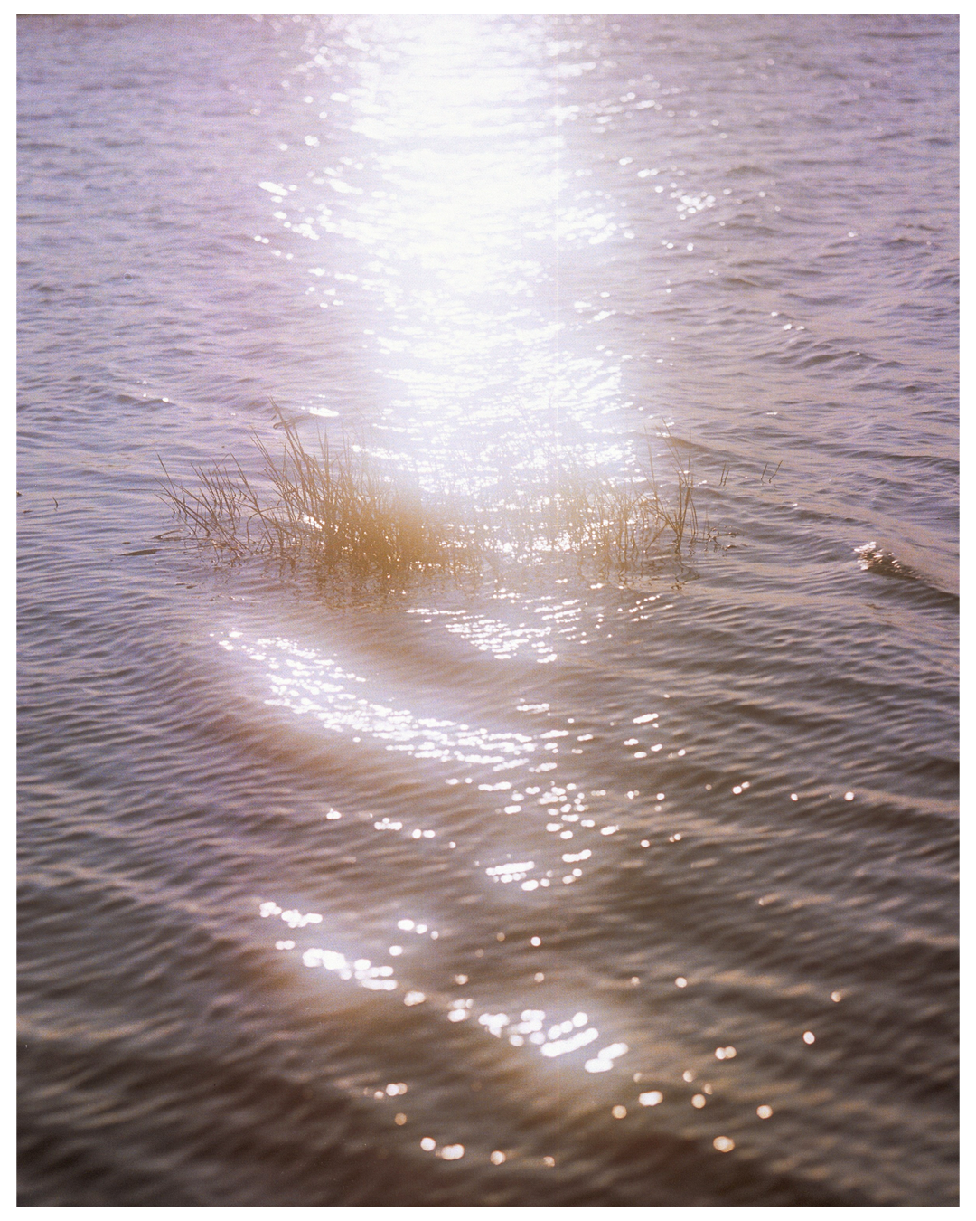 Sunlight reflects on the surface of rippling water with a small patch of grass.