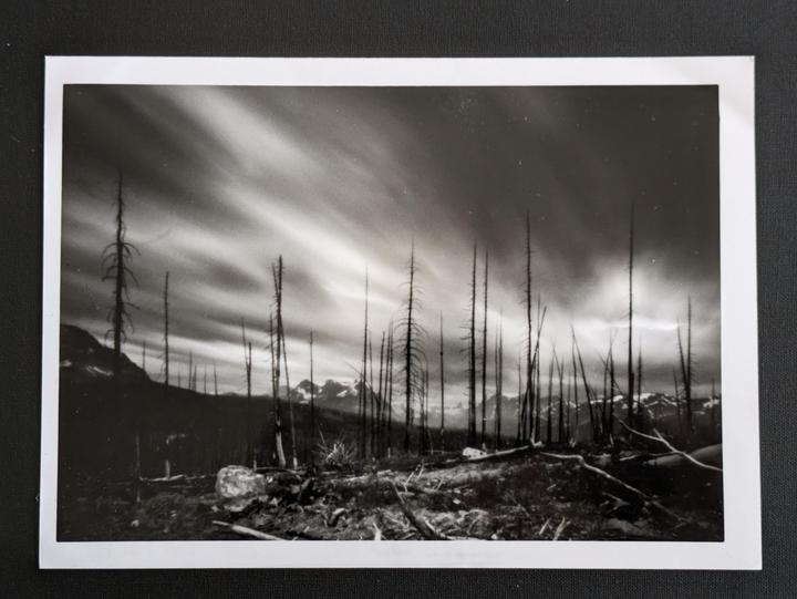 A black and white landscape shows a forest of dead trees with mountains in the background under a dramatic sky.