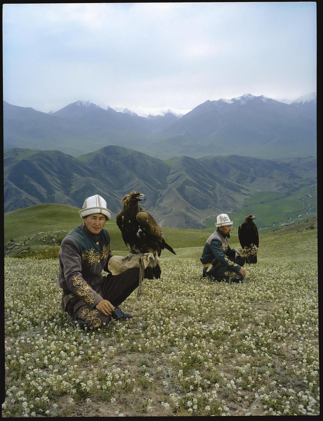Two men in traditional dress with eagles on their arms are crouching in a field of white flowers with mountains in the background.