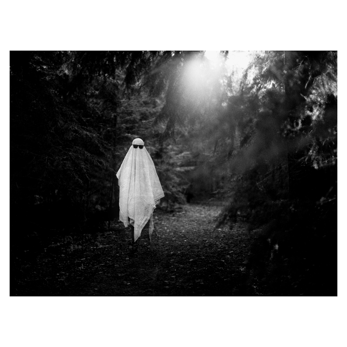 A person dressed as a ghost with sunglasses stands on a path in a dark forest.