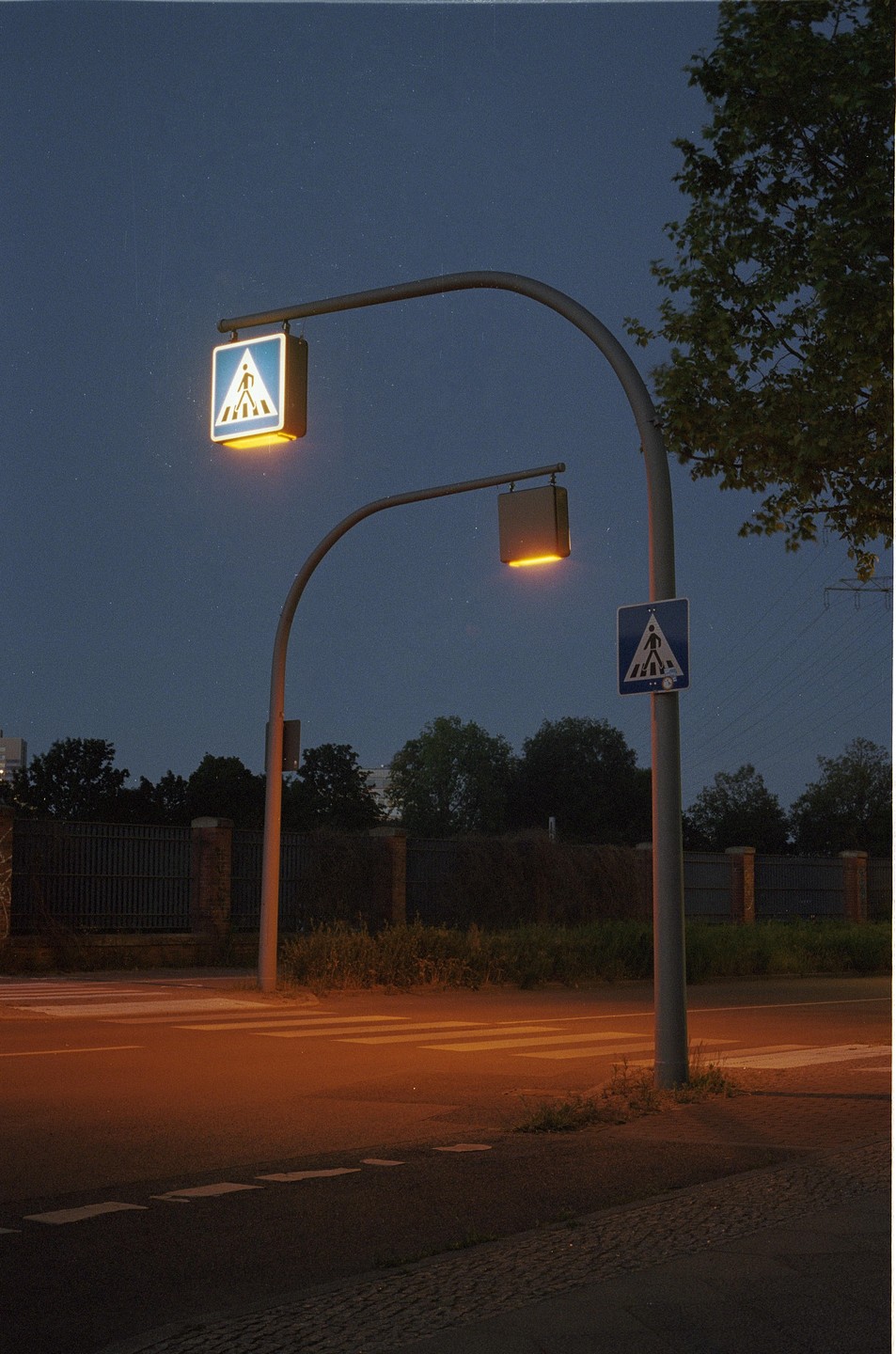 Two pedestrian crossing signs illuminate a street at night, with trees and a fence in the background.