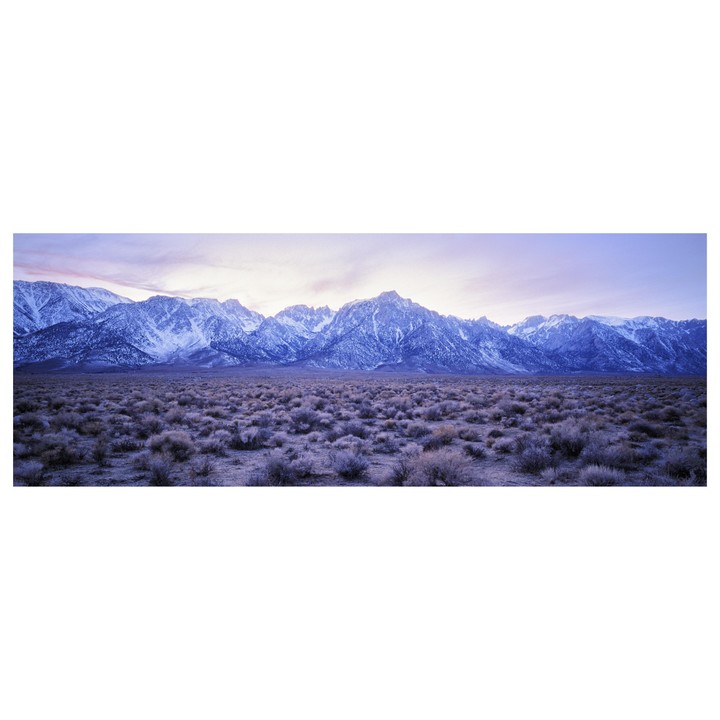 A vast plain of low-lying vegetation stretches towards a range of snow-capped mountains under a pale sky.