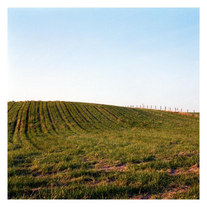 A grassy hill with rows of crops and a fence line under a clear sky.