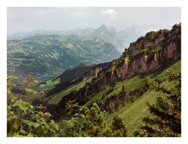 A lush green mountain valley is visible through the branches of a tree in the foreground.