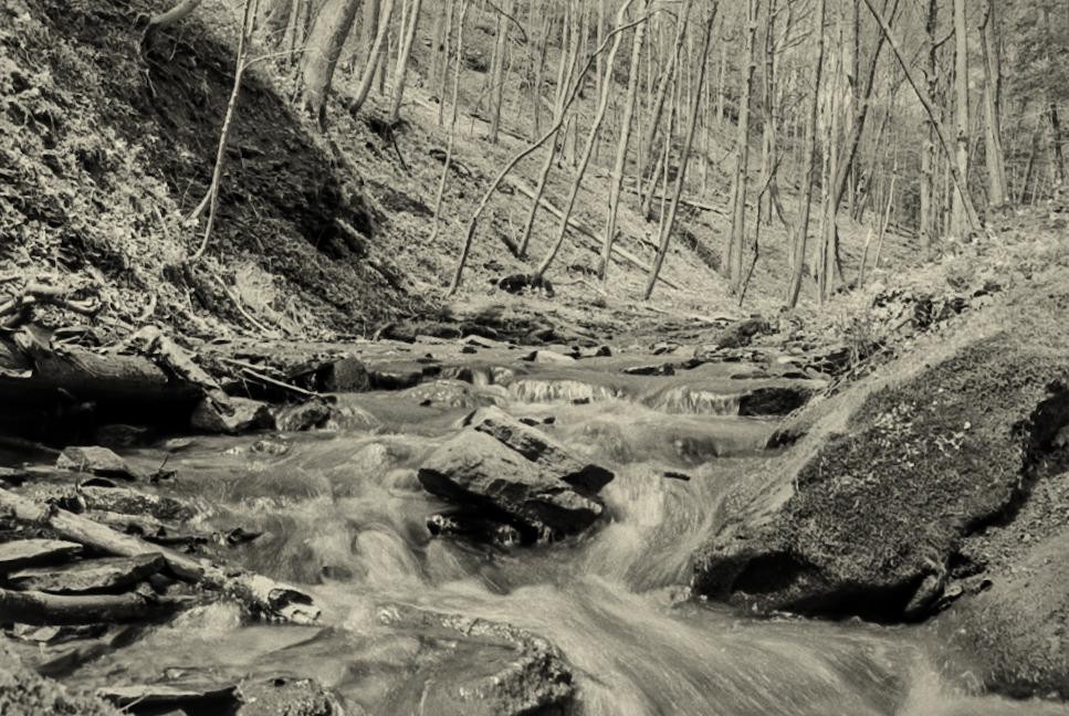 A stream flows over rocks in a forest with bare trees on a hillside.