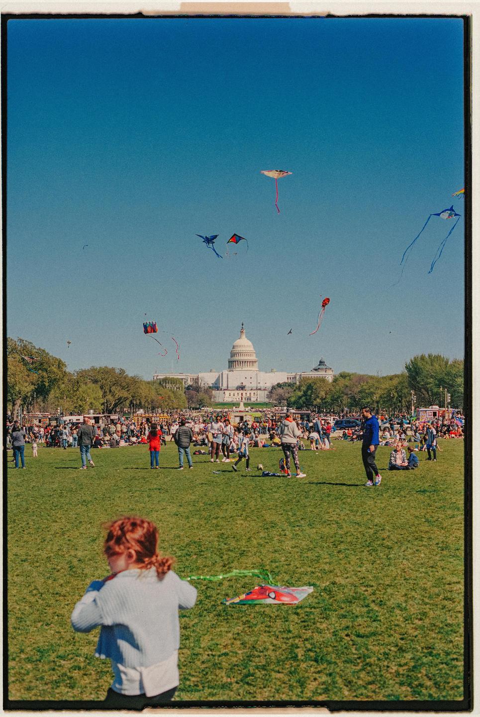 A child stands in a grassy field with many people and kites flying in the sky above the United States Capitol Building.