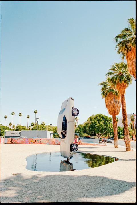A white car is standing vertically in a pool of water next to palm trees under a clear blue sky.