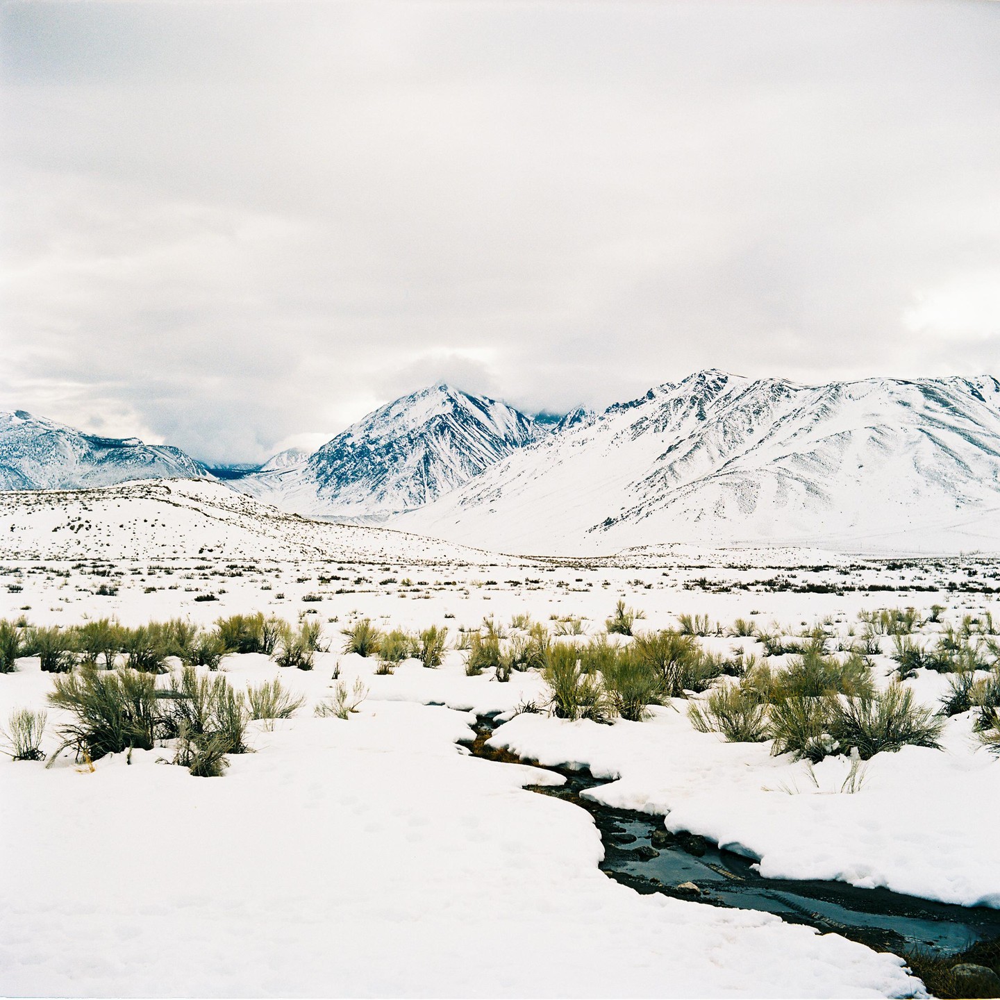 A winding stream flows through a snow-covered field with green bushes and large, snow-capped mountains under a cloudy sky.