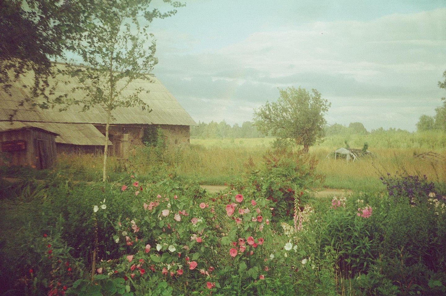 A rustic house with a corrugated roof stands beside a field of tall grass and wildflowers under a cloudy sky.