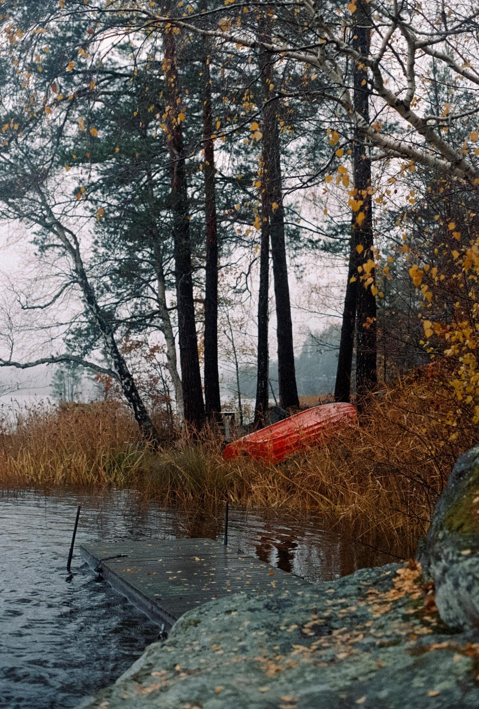 A red boat is overturned in tall grass next to a wooden dock on a rainy day.