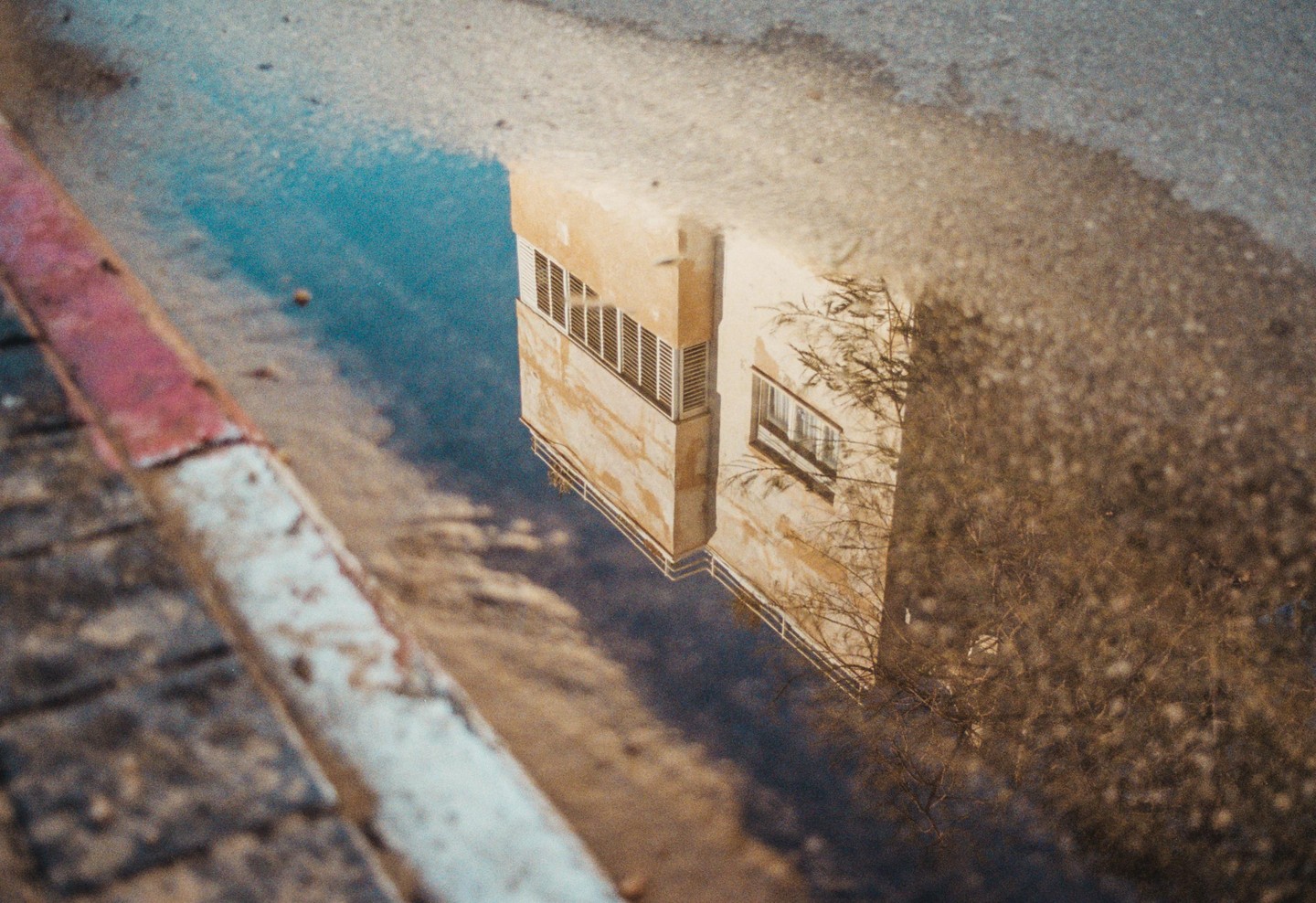 A building and tree are reflected in a puddle on a street next to a curb.
