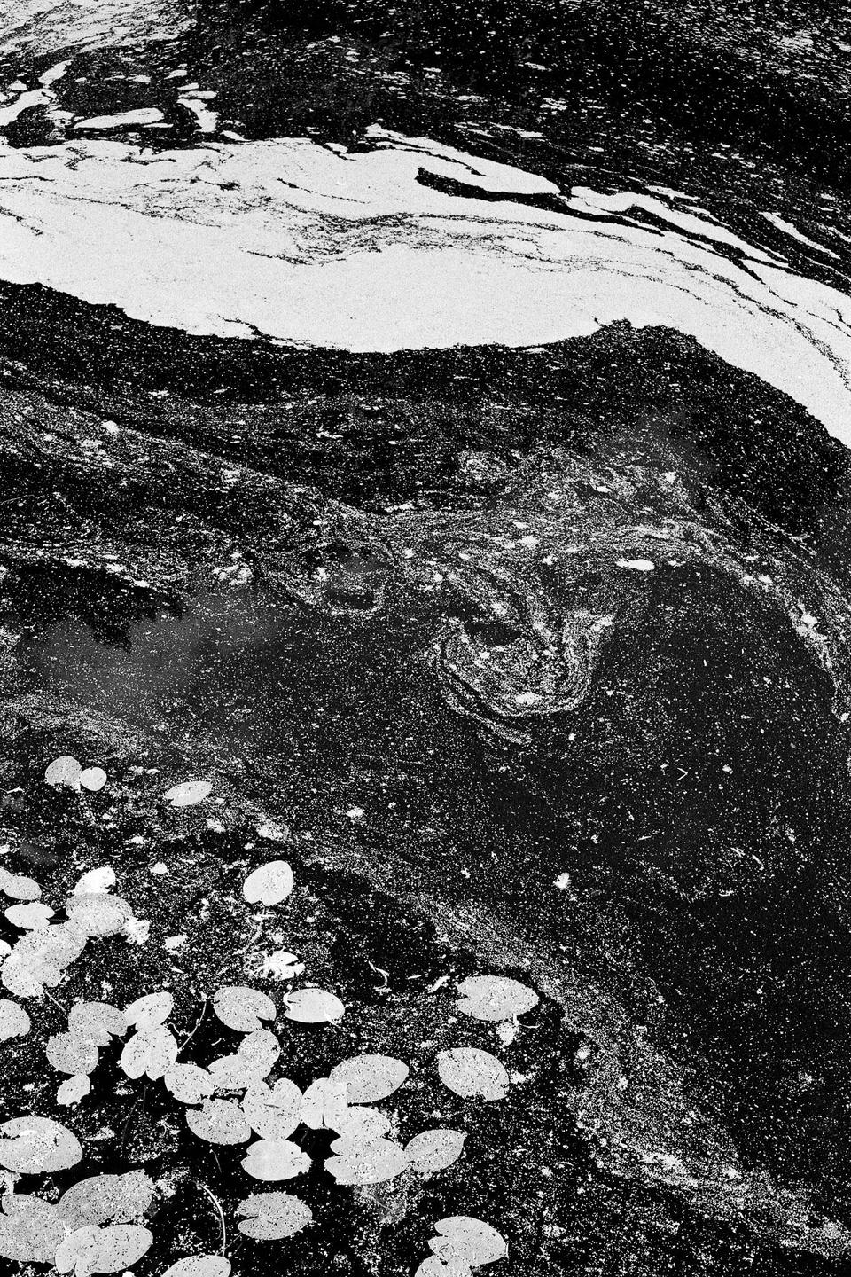 A body of water is covered in swirling patterns of foam and lily pads.