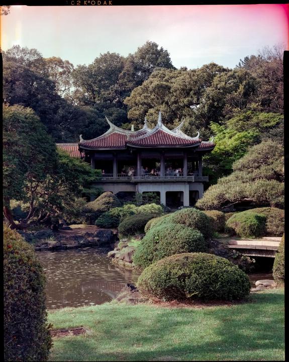 A traditional Japanese building with a red tiled roof stands among lush green trees and bushes, overlooking a pond.