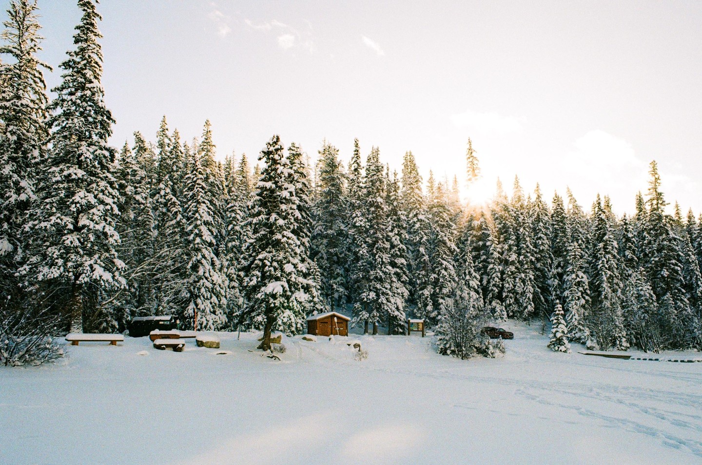 A small wooden cabin sits in a snow-covered forest with tall pine trees under a bright sky.
