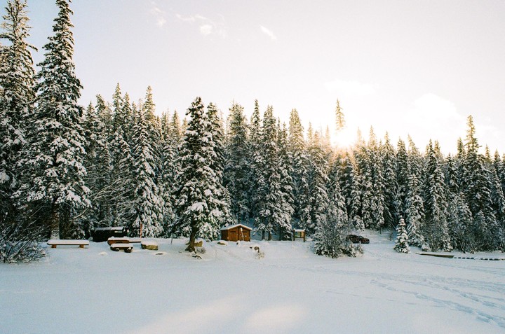 A small wooden cabin sits in a snow-covered forest with tall pine trees under a bright sky.