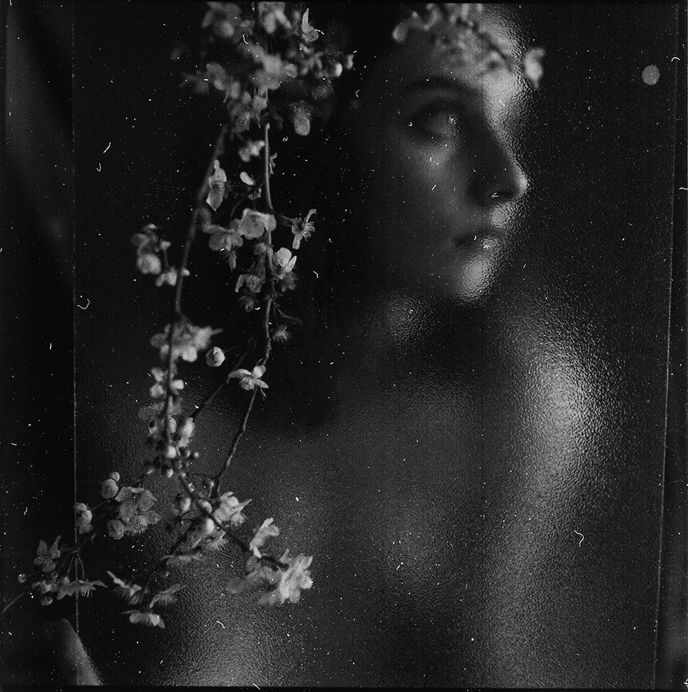 A woman's profile is visible behind a textured surface, with a branch of blossoms in the foreground.