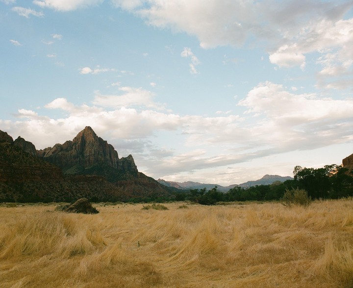 A field of tall, dry grass stretches towards a range of mountains under a partly cloudy sky.