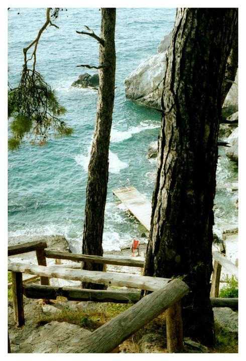 A wooden railing and tree trunks frame a view of the sea with a small dock and a red chair.
