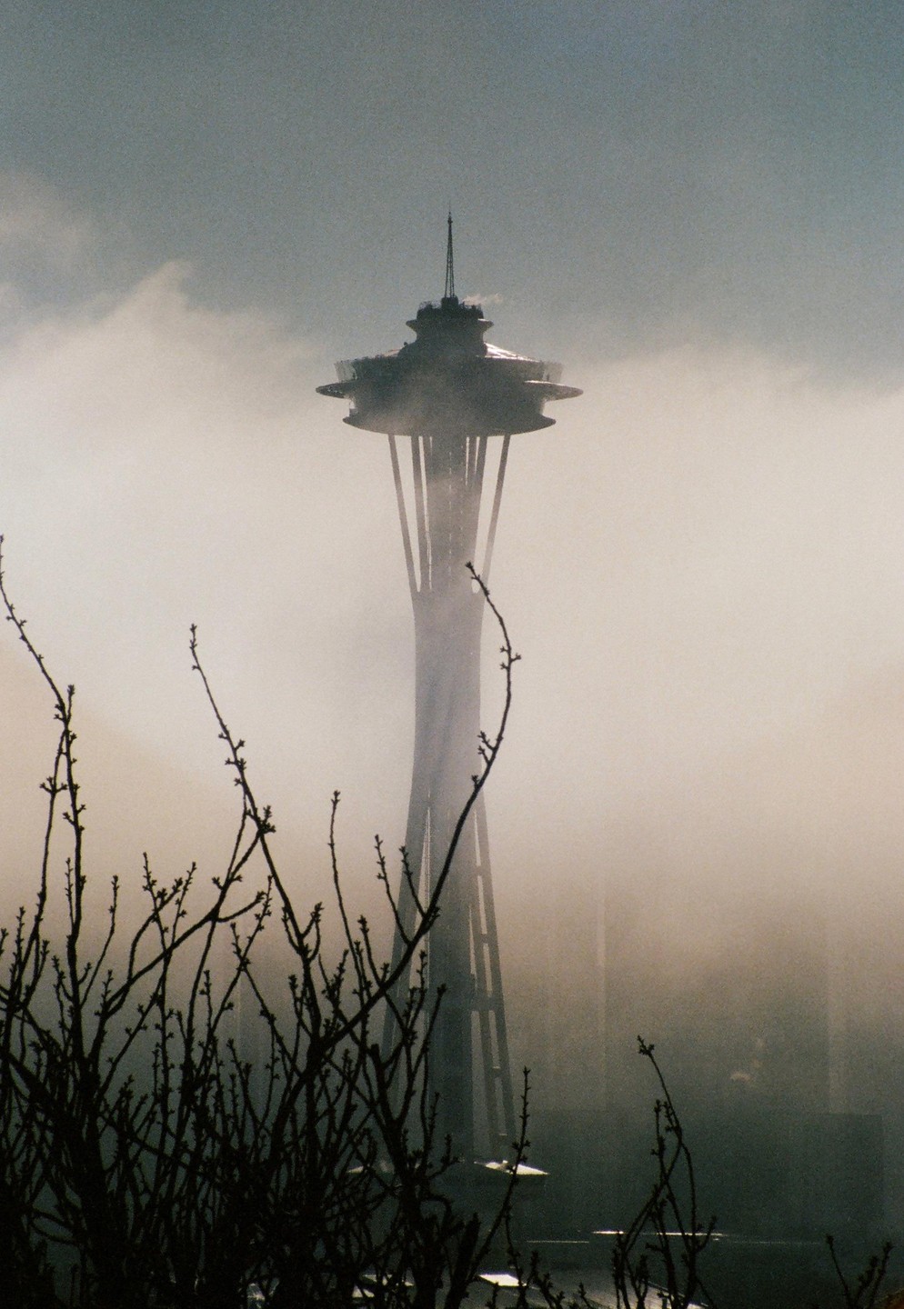The Space Needle is shrouded in fog, with bare tree branches in the foreground.