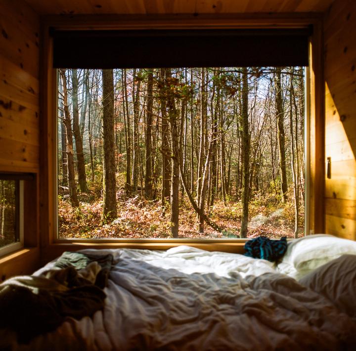 A bed with rumpled sheets is visible in the foreground, with a large window looking out onto a forest in autumn.