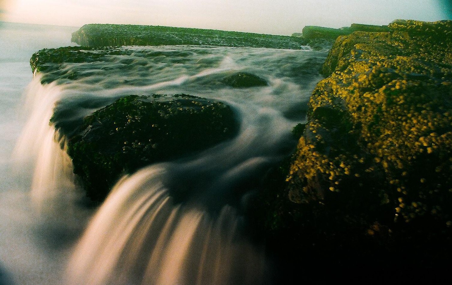 Water flows over mossy rocks on a beach.