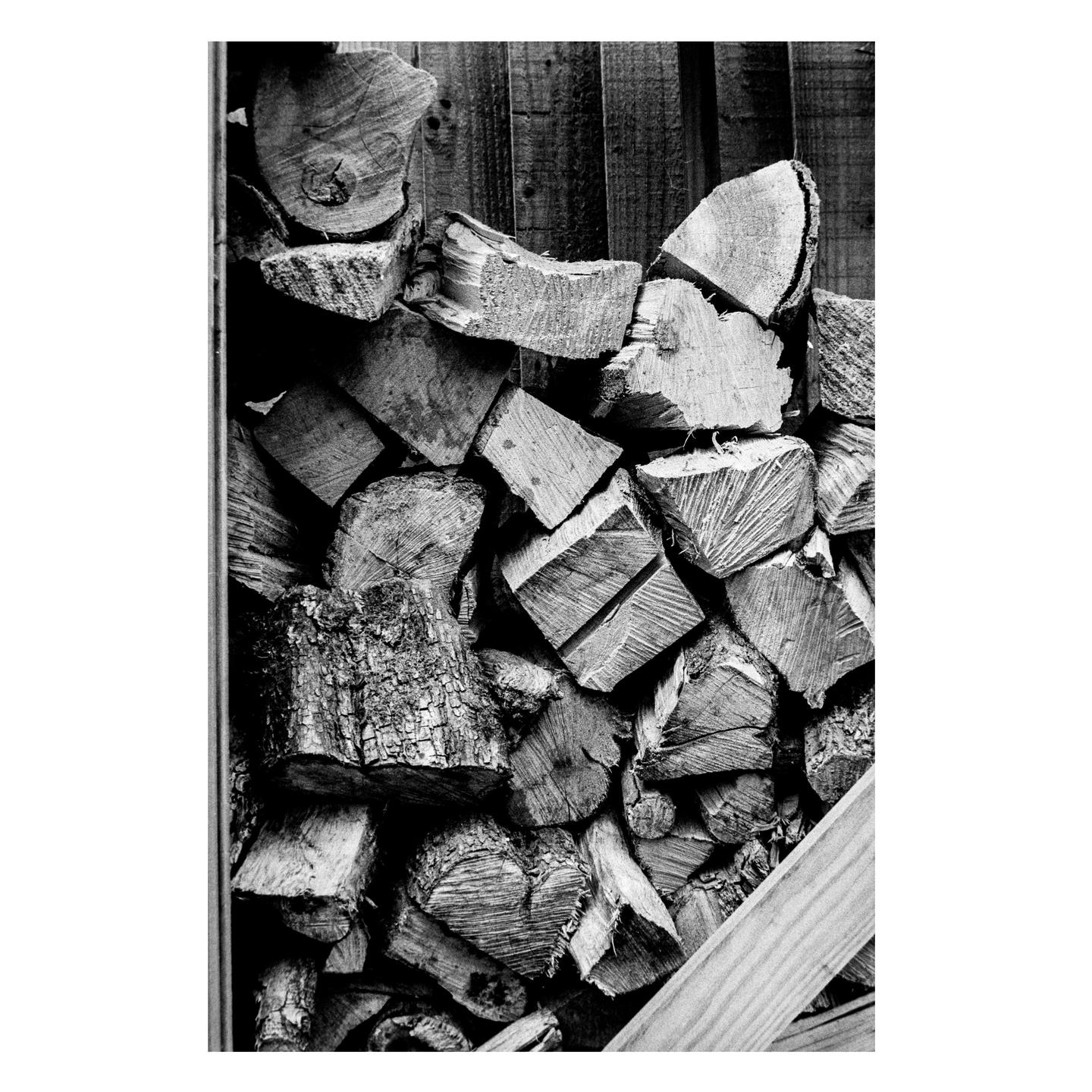 A pile of cut logs is stacked against a wooden fence.
