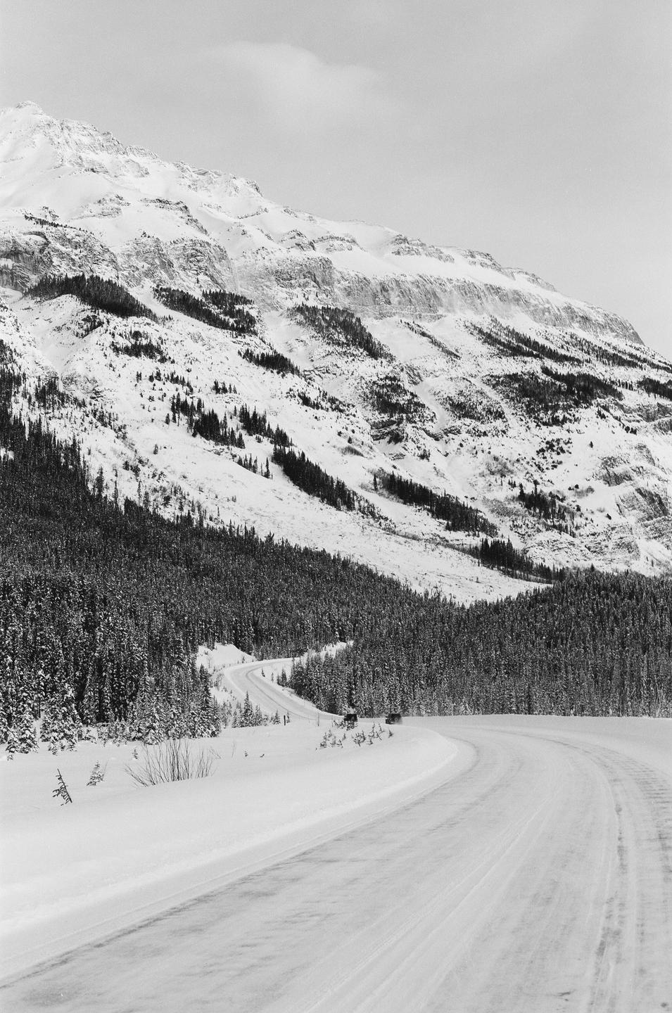 A winding road covered in snow leads through a forest towards a large snow-covered mountain.