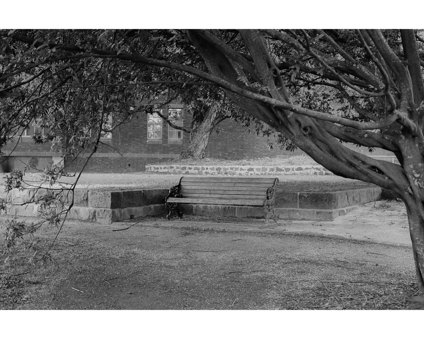 A park bench sits under a large tree with a brick building in the background.