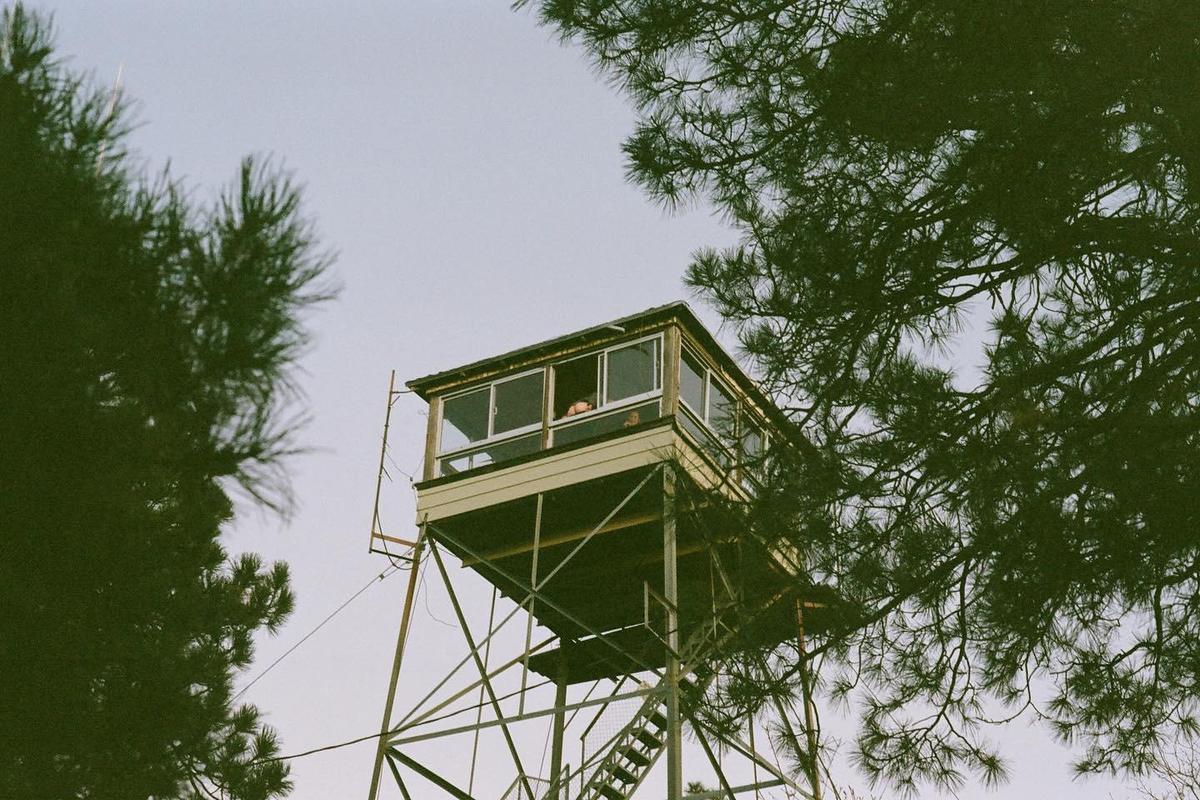 A fire lookout tower with a person visible in a window is framed by pine tree branches.