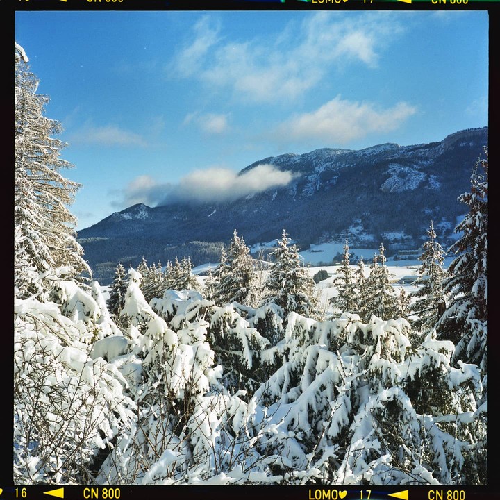 A snow-covered forest and mountain range are visible under a blue sky with clouds.