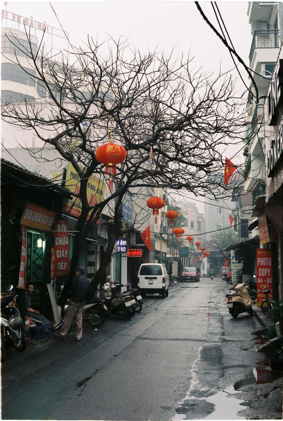 A street in Hanoi is lined with shops and motorbikes, with red lanterns hanging from a bare tree and across the street.