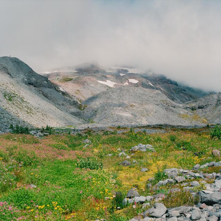 A field of wildflowers and rocks sits in the foreground of a mountain range partially obscured by clouds.