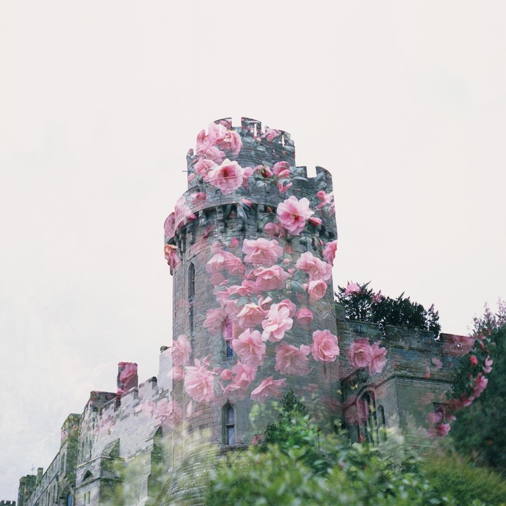 A double exposure shows a castle tower overlaid with pink blossoms.