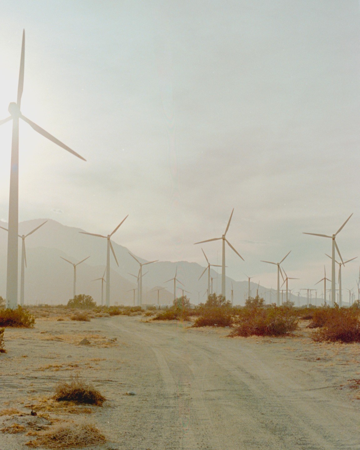 A dirt road leads through a desert landscape filled with numerous wind turbines under a hazy sky.