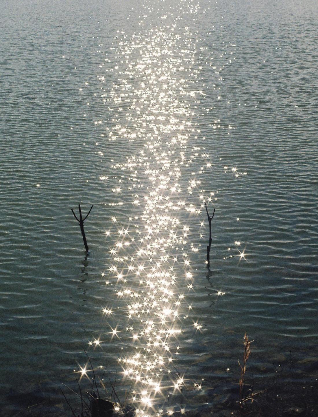 Sunlight sparkles on the surface of a body of water with two small branches emerging from it.