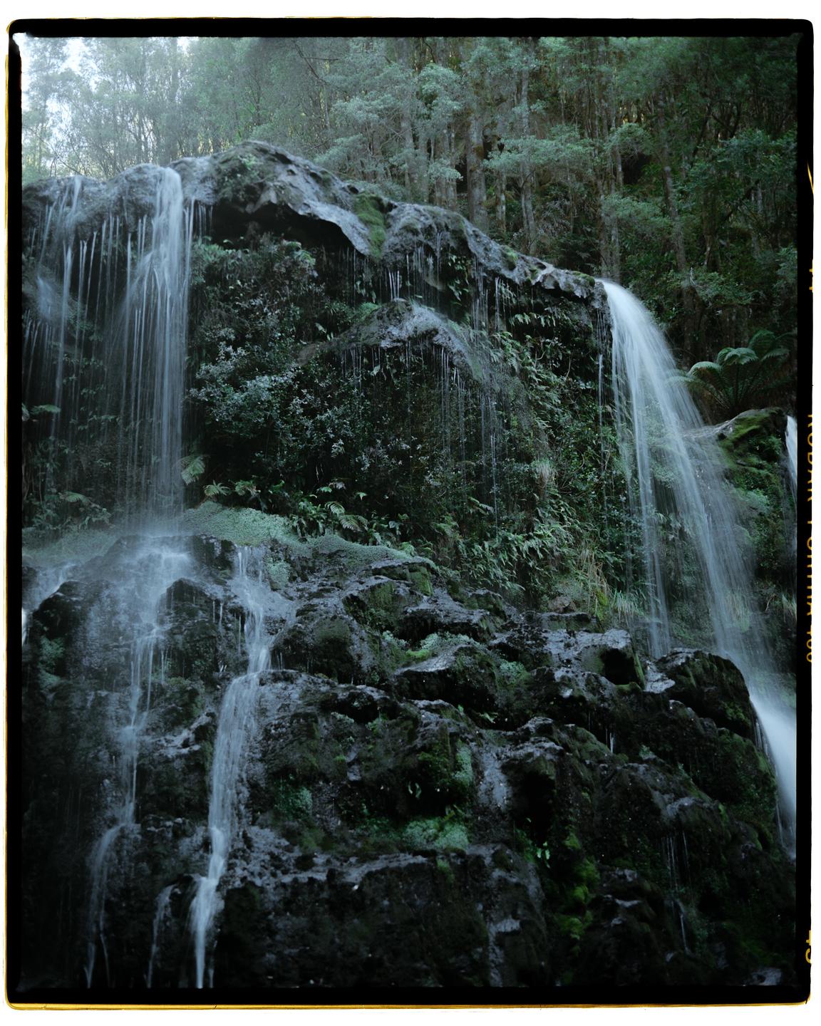 A waterfall cascades over a mossy rock face in a forest.