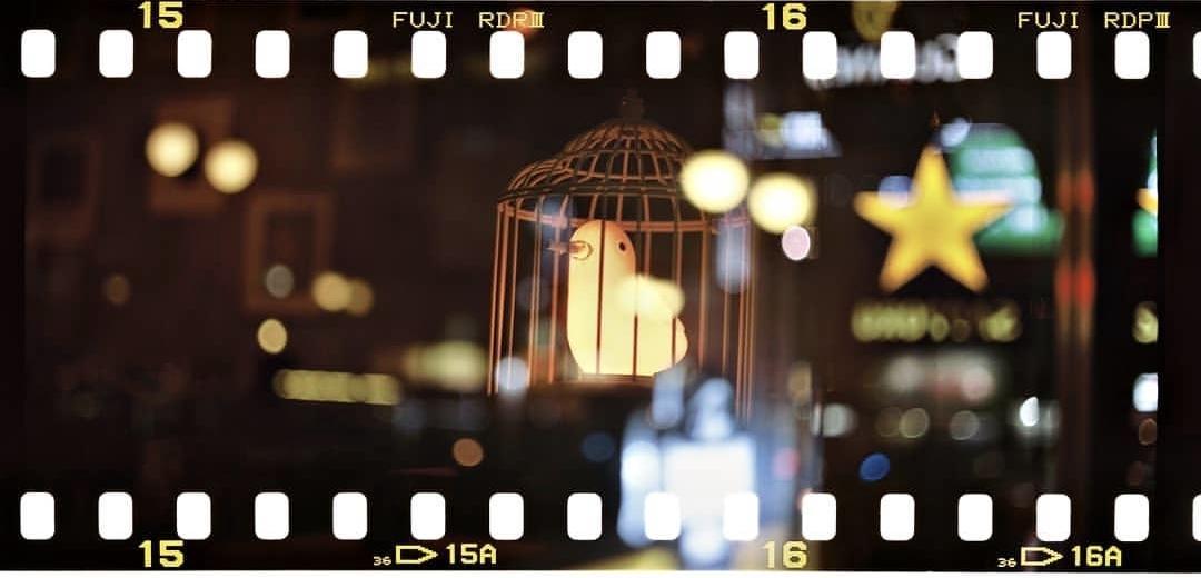 A glowing bird figurine is inside a cage with a blurred background of lights and a yellow star.