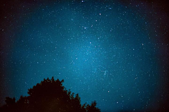 A dark silhouette of a tree is visible against a night sky filled with numerous stars.