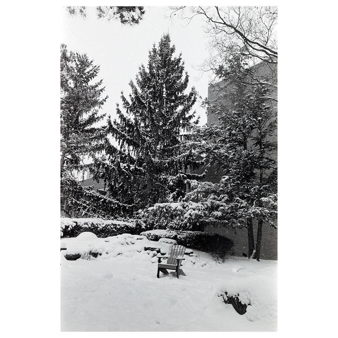 A wooden chair sits in a snow-covered garden surrounded by evergreen trees and bushes.